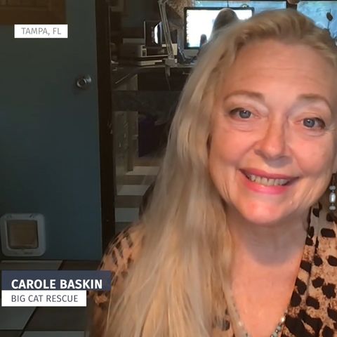 Carole Baskin finishes what Tiger King couldn't