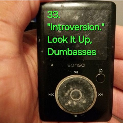 33. "Introversion." Look It Up, Dumbasses