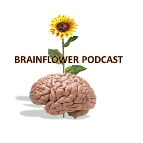 (TRAFFIC. In my Lane!!) BRAINFLOWER Podcast Ep.2