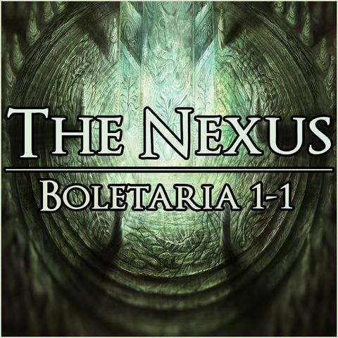 The Nexus 003 - Boletaria 1-1