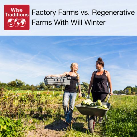 465: Factory Farms Vs. Regenerative Farms