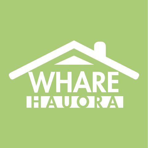 Healthy Homes Hikoi - Starting A Start-up For Good