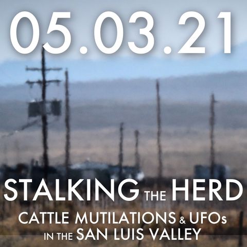 Stalking the Herd: Cattle Mutilation and UFOs in the San Luis Valley | MHP 05.03.21.