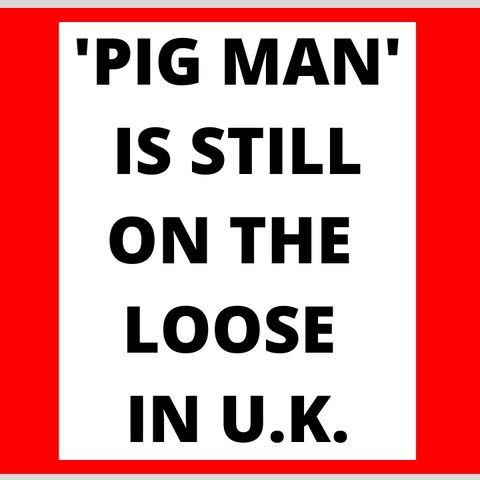 'PIG MAN' STILL ON THE LOOSE IN THE U.K.