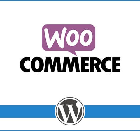 7 Advantages of Using WooCommerce WordPress Plugin