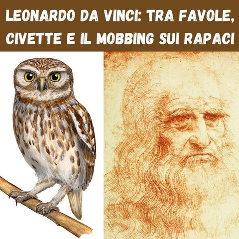 Leonardo da Vinci: tra favole, civette e il mobbing sui rapaci