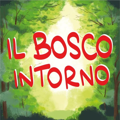 Il Bosco Intorno - Scuola e Natura