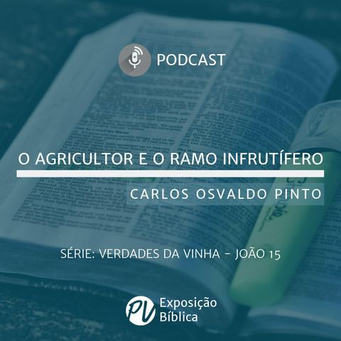 Verdades da Vinha - O Agricultor e o Ramo Infrutifero - Carlos Osvaldo Pinto