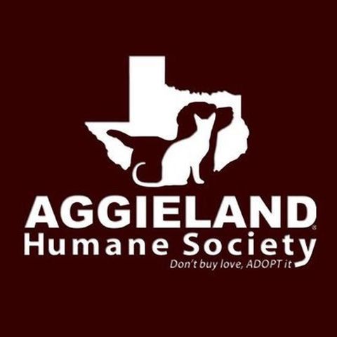 Aggieland Humane Society's Leiha White on The Infomaniacs