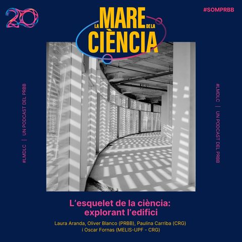 L’esquelet de la ciència: explorant l’edifici