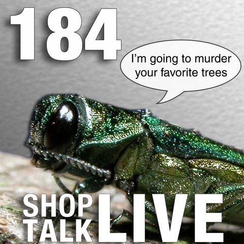 STL148: Is it time to stockpile ash?