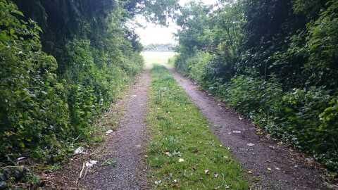 Draft post while walking to work.
