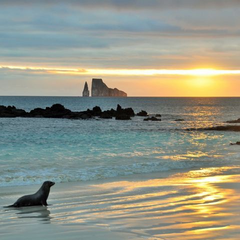 Galapagos - Darwin'e İlham Veren Adalar!