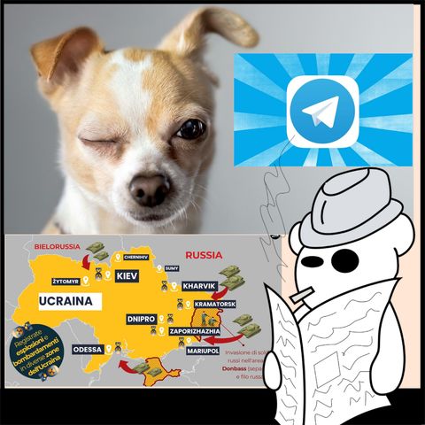 Ucraina, Telegram e animali domestici