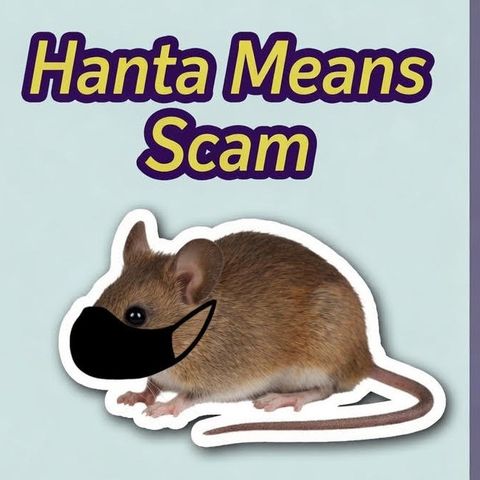 Hanta Means Scam