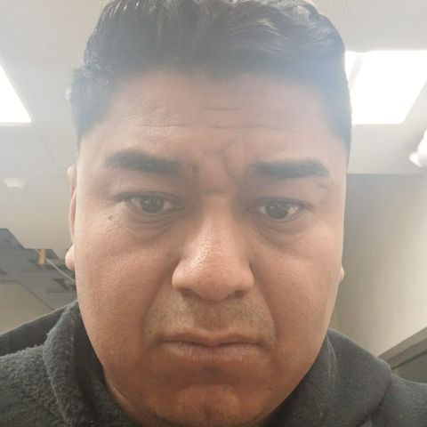 actividad integradora