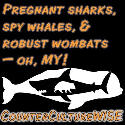 Pregnant sharks, spy whales, and robust wombats — oh, MY!