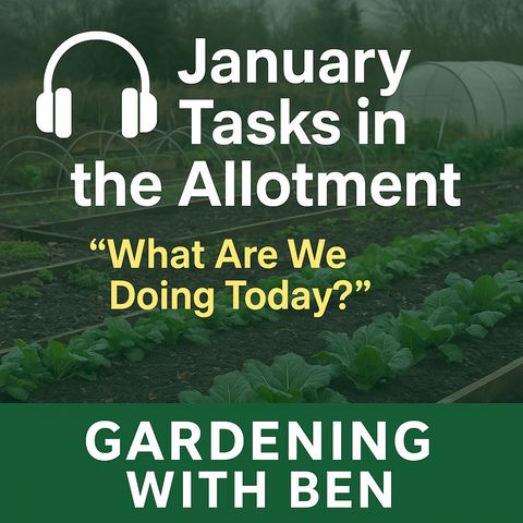 🎧 🌱 January Tasks in the Allotment | What Are We Doing Today?