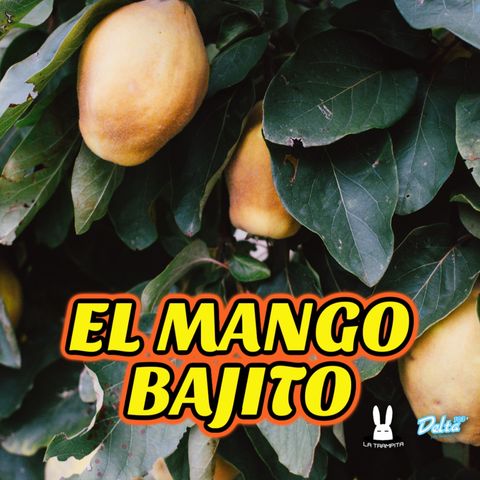 EP40. EL MANGO BAJITO