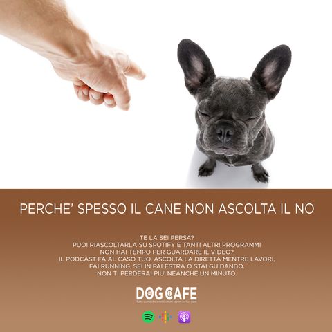 #033 - Perché spesso il cane non ascolta il no