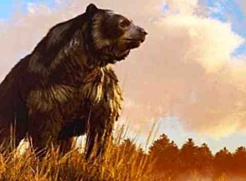 Short Faced Bear - Ancient Animal (Feat.JoeRogan)