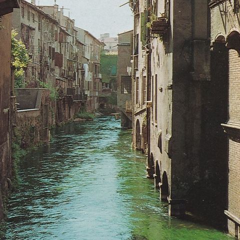 Mantova sull'acqua: il fiume Rio e la sua storia