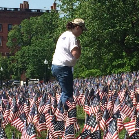Volunteers Plant 37,000 Flags On Boston Common To Honor Veterans
