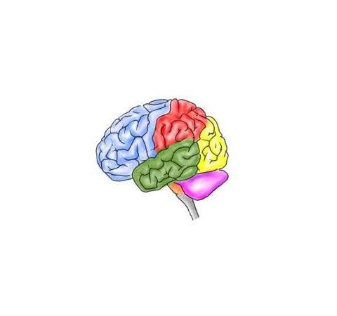 Exploring Migraines  with Dr. Adam Harcourt