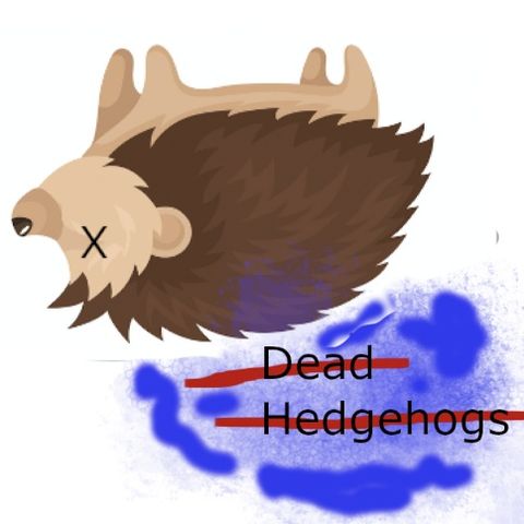 Dead Hedgehogs Podcast #25 - Caelan Dorris