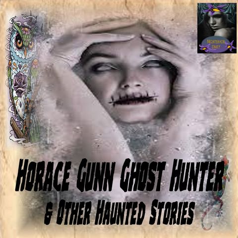 Horace Gunn Ghost Hunter and Other Haunted Stories |  Podcast