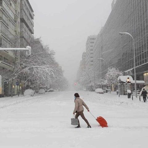 ¿Las nevadas intensas desmienten el Cambio Climático?, con Sergi González | Actualidad y Empleo Ambiental #82