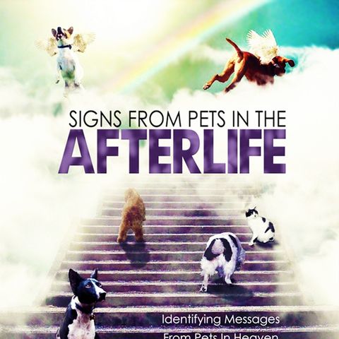 Onebuckley Radio Show Signs Pets Afterlife