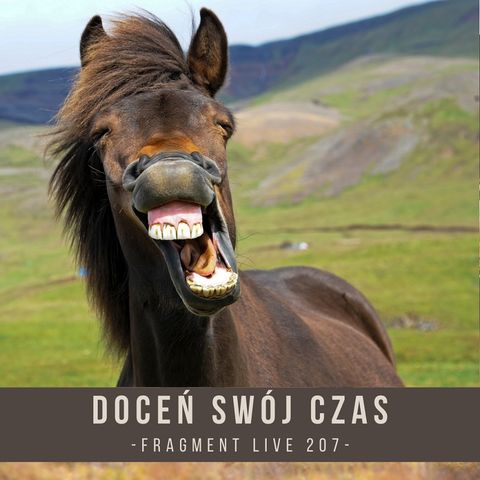 Doceń swój czas - fragment live 207