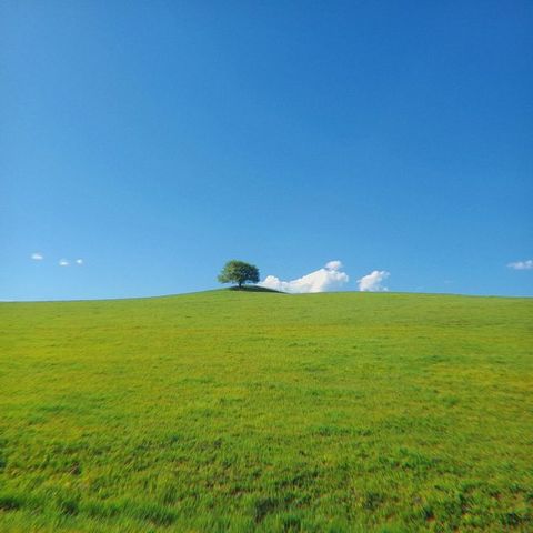 Episode 185 - Serene