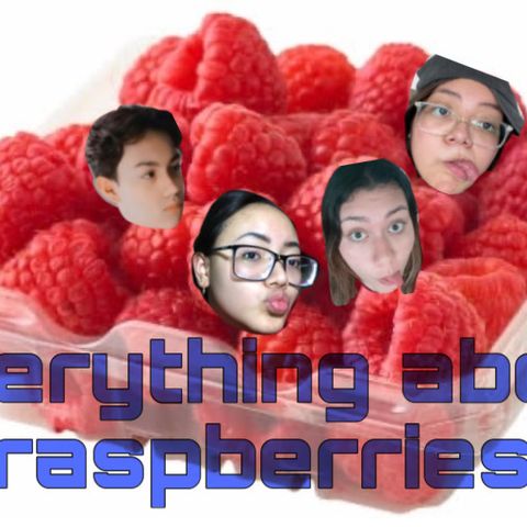 Meet the raspberries