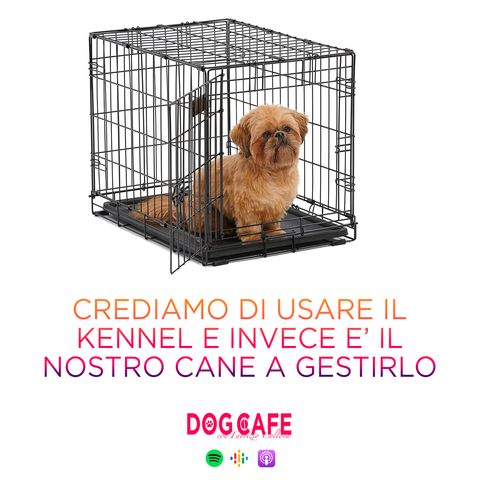 #094 - Crediamo di usare il kennel e invece è il nostro cane a gestirlo.