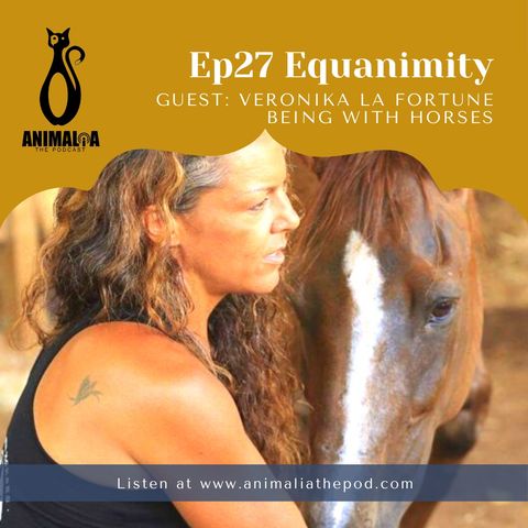 ANIMALIA 27 - Equanimity - 9Jul21