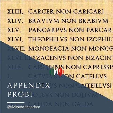 311. STORIA DELL'ITALIANO: Appendix Probi