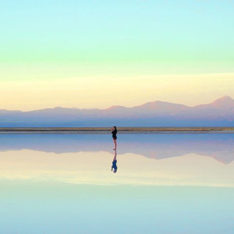 David Hulme Caminando En Este Mundo