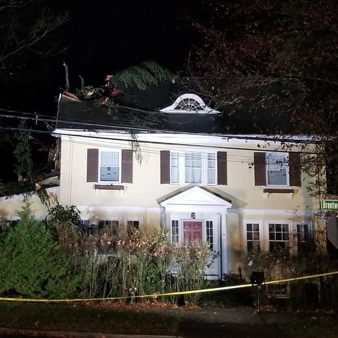 Tree Smashes Through Roof Of Newton Home