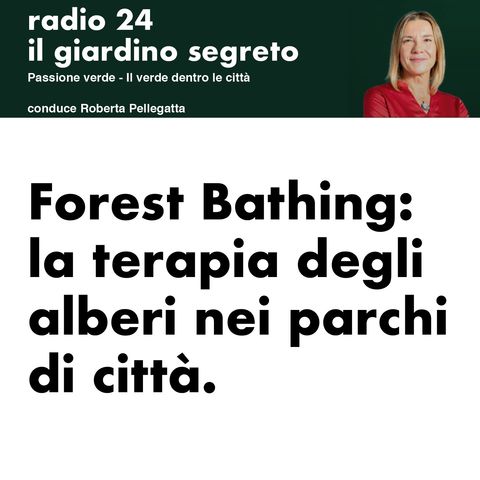2.0 Forest bathing. La terapia degli alberi nei parchi di città. Roberta Pellegatta di Radio24 intervista Marco Nieri