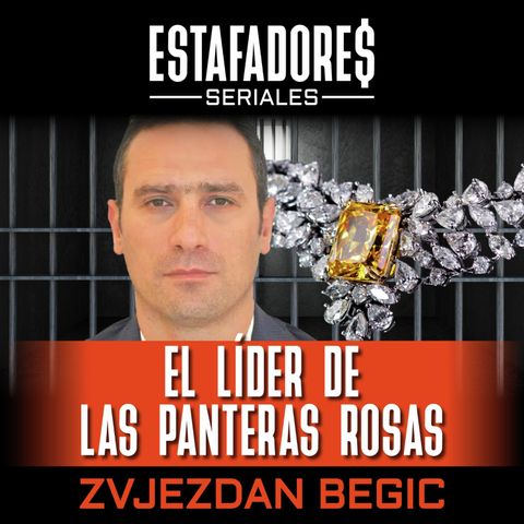 El líder de las panteras rosas - Zvjezdan Begic