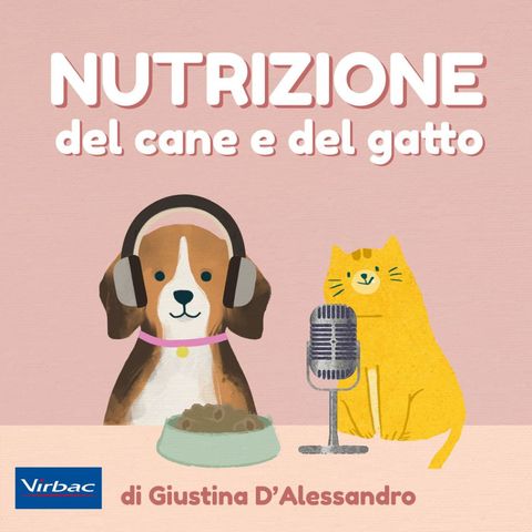 Cani e gatti: differenze nutrizionali - Ep. 1