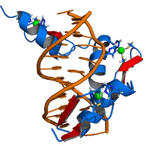 Zinc Finger Design AI Tool Opens Door to Large-Scale Gene Therapies [W[R]C]