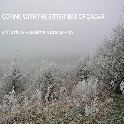 Coping With The Bitterness Of Qadar | Abū ‘Atīyah Mahmūd bin Muhammad