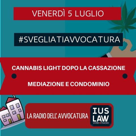 CANNABIS LIGHT DOPO LA CASSAZIONE – MEDIAZIONE E CONDOMINIO #SvegliatiAvvocatura