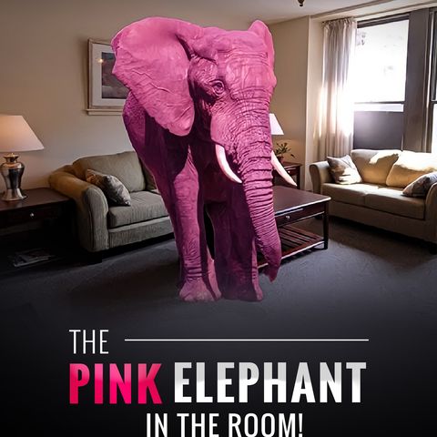 The Pink Elephant In The Room- Part I