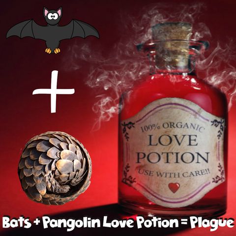 Earth Oddity Bonus: Bats + Pangolin Love Potion = Plague