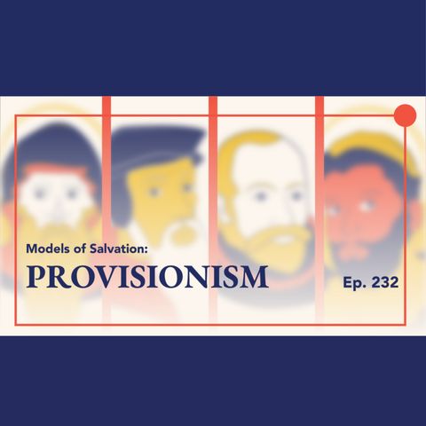 Episode 232: Explaining Provisionism