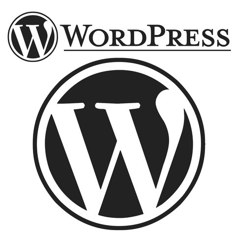 1129 WordPress come scegliere temi plugin widget